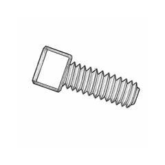 Screw